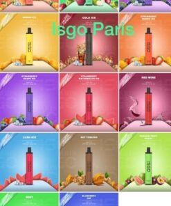 ISGO PARIS 1500 PUFFS