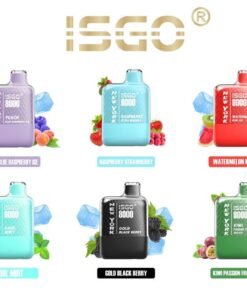 ISGO New York 8000 Puffs Disposable