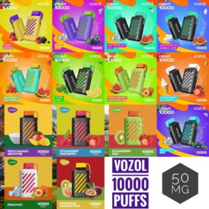 VOZOL GEAR 10000 PUFFS DISPOSABLE VAPE in UAE