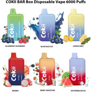 Cokii Bar 6k Box 6000 Puffs Disposable Vape