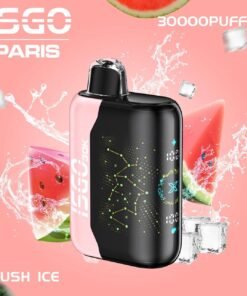 ISGO Bar Paris X 30000 50MG Puffs Disposable Vape in Dubai