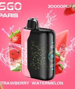 ISGO Bar Paris X 30000 50MG Puffs Disposable Vape in Dubai