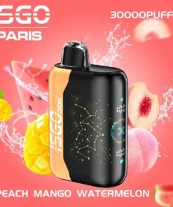 ISGO Bar Paris X 30000 50MG Puffs Disposable Vape in Dubai