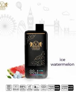 VICIG Charlie 15000 Puffs 20MG Disposable Vape in Dubai