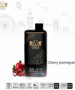 VICIG Charlie 15000 Puffs 20MG Disposable Vape in Dubai