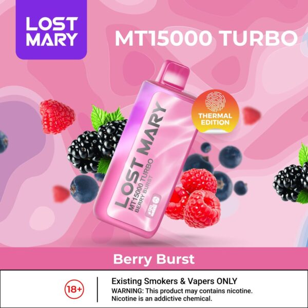 LOST MARY MT15000 TURBO 5% Disposable Vape in Dubai