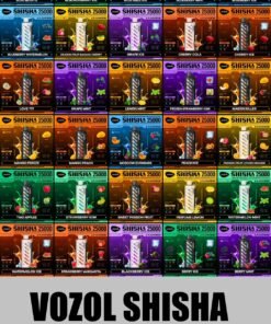 Vozol Gear Shisha 25000 Puffs Disposable Vape In UAE