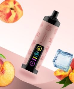 Vapgo Bar 30000 Puffs Disposable Shisha Vape In UAE