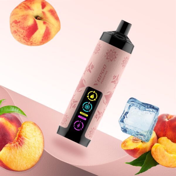 Vapgo Bar 30000 Puffs Disposable Shisha Vape In UAE