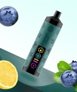 Vapgo Bar 30000 Puffs Disposable Shisha Vape In UAE