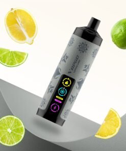 Vapgo Bar 30000 Puffs Disposable Shisha Vape In UAE