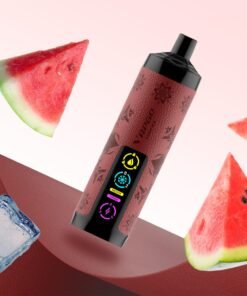 Vapgo Bar 30000 Puffs Disposable Shisha Vape In UAE