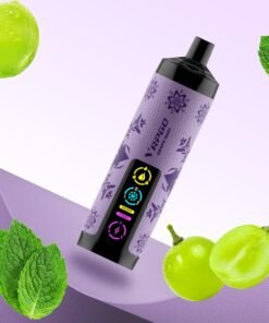 Vapgo Bar 30000 Puffs Disposable Shisha Vape In UAE