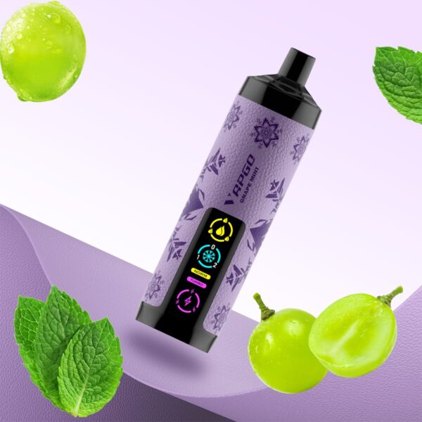 Vapgo Bar 30000 Puffs Disposable Shisha Vape In UAE