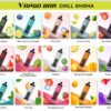 Vapgo Bar 30000 Puffs Disposable Shisha Vape In UAE