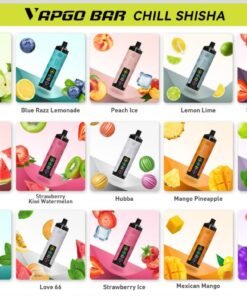 Vapgo Bar 30000 Puffs Disposable Shisha Vape In UAE
