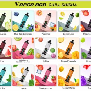 Vapgo Bar 30000 Puffs Disposable Shisha Vape In UAE