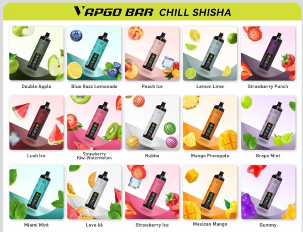 Vapgo Bar 30000 Puffs Disposable Shisha Vape In UAE