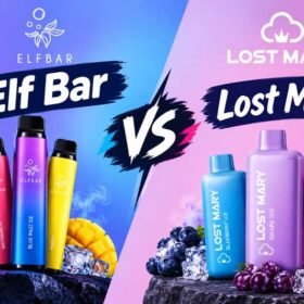 Elf Bar vs Lost Mary: